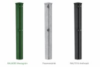 Zaunpfosten 60/40 f&uuml;r Doppelstabmatten