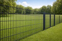 Toranlage, B2000  x H1200, RAL 7016, zum Einbetonieren